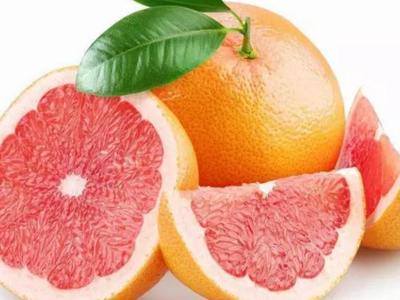 贛南臍橙 大自然的黃金饋贈，贛州的地理標志與驕傲