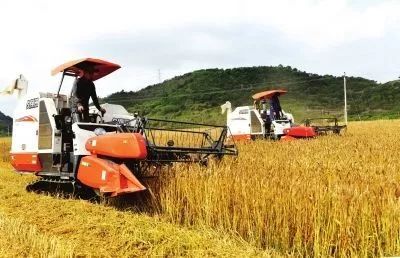 山東實(shí)施八大舉措，為鄉(xiāng)村振興注入新動(dòng)能